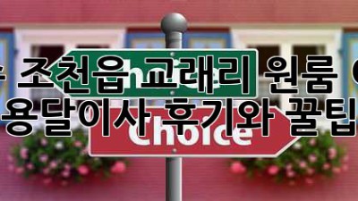 제주 조천읍 교래리 원룸 이사, 용달이사 후기와 꿀팁!